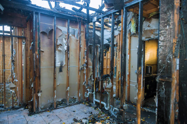 Professional Smoke Damage Removal technician working in Alexandria, VA