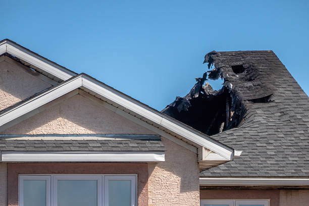Top rated local Smoke Damage Removal specialists in Alexandria, VA